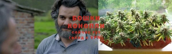 молекула духа Бронницы