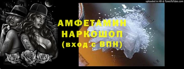 a pvp Бородино