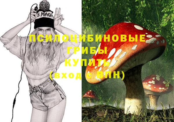 молекула духа Бугульма