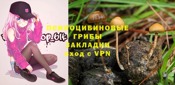 a pvp Бородино