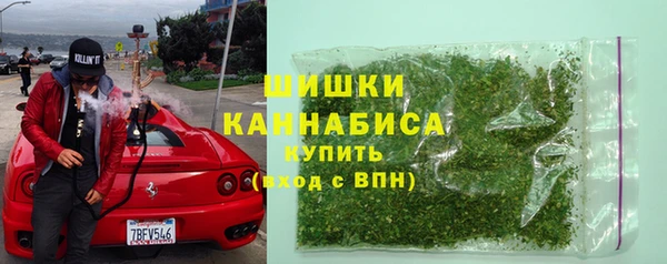 a pvp Бородино