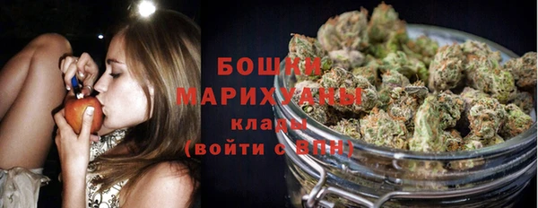 a pvp Бородино