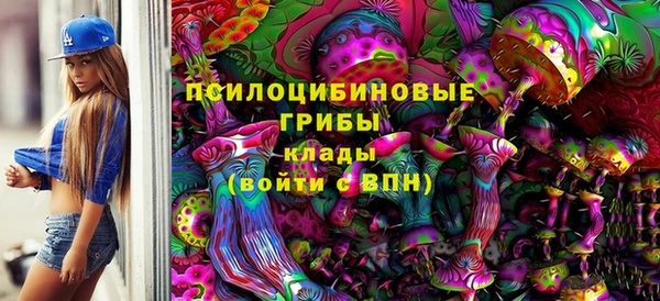 a pvp Бородино