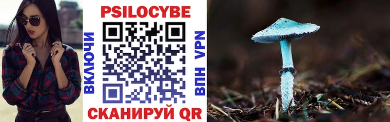 Галлюциногенные грибы прущие грибы  Курган 